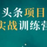 祖小来头条项目训练营第二期,资金投入很少,后期可以持续地赚钱-网创指引人