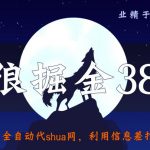 侠狼掘金38招第14招全自动代刷网，利用信息差打造百万市场【视频课程】-网创指引人