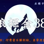 侠狼掘金38招第26招付费音乐解析站，自带流量捆绑变现【视频课程】-网创指引人