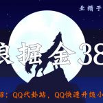 侠狼掘金38招第30招QQ代卦站，QQ快速升级小众项目【视频课程】-网创指引人