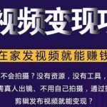 随风短视频变现项目:从0到1教你打造爆款短视频变现,在家发视频就能赚钱-网创指引人