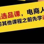 逐鹿蓝海高利润选品课:你只要能选好一个品,就意味着一年轻松几百万的利润-网创指引人