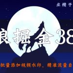 侠狼掘金38招第33招批量添加视频水印，精准流量自动上门寻找【视频课程】-网创指引人