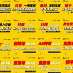 2021聚蚁思维高级合伙人vip会员课程合集,帮助上万人通过短视频变现益利-网创指引人