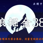 侠狼掘金38招第34招自媒体文案合集站，流量变现被动收入月入5000+【视频课程】-网创指引人