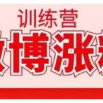 写书哥·微博涨粉训练营,手把手教你写出高转化点赞的涨粉文章【无水印】-网创指引人