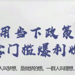 忠余网赚32计第二十五计:利用当下政策热点新手零门槛暴利收益项目【视频课程】-网创指引人