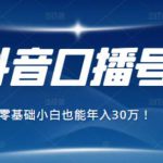 2021年抖音最赚钱的口播号项目,零基础小白也能保底年入30万-网创指引人