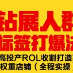 钻展人群标签打爆法，高投产ROL收割打造高权重店铺(全程实操)-网创指引人