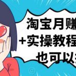 淘宝月赚5000+实操教程，新手也可以操作-网创指引人