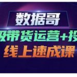 数据哥·超级带货运营+投手线上速成课,快速提升运营和熟悉学会投手技巧-网创指引人