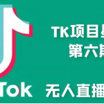 小志·TikTok无人直播玩法第六期,价值1988元-网创指引人