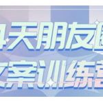S商学院·14天朋友圈文案训练营,听了就会写,写了就会卖的朋友圈文案课