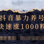 抖音暴力养号,三天快速涨1000粉技术【视频课程】-网创指引人