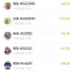 某大咖售价798元语音聊天挂机项目(全部资源打包)-网创指引人