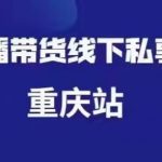 直播带货线下私享会重庆站分享下载，价值999元-网创指引人