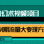 一部手机就能做的抖音幻术视频项目,轻松爆6000W播放【视频教程,附软件】-网创指引人