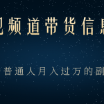 京东发现频道带货信息差项目,一个普通人月入过万的副业-网创指引人