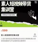 夜草与千里马素人短视频带货集训营,薛辉团队价值599-网创指引人