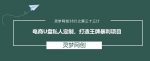 灵梦网创38计之第三十三计:电商U盘私人定制,打造王牌暴利项目-网创指引人