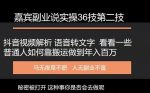 嘉宾副业说实操三十六技第二技:抖音视频解析语音转文字,看看一些普通人如何靠搬运做到年入百万-网创指引人