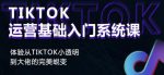 Tiktok实操进阶课程,体验从tiktok小透明到大佬的完美蜕变-网创指引人