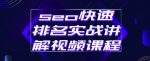 seo快速排名实战讲解视频课程,揭秘seo快排原理-网创指引人