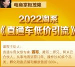 茂隆2022直通车低价引流玩法,教大家如何低投入高回报的直通车玩法-网创指引人