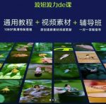 波妞波力的视频通用教程+视频素材+辅导班-网创指引人