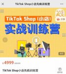 疯人院TikTok Shop小店先疯训练营,开启2022年海外小店带货,从0到1掌握TK小店运营技巧-网创指引人