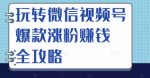 玩转微信视频号爆款涨粉赚钱全攻略,让你快速抓住流量风口,收获红利财富-网创指引人