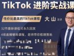 大山老师TikTok进阶实战课:账号详解,流量运营,实战变现,助力你成功出海-网创指引人