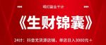 明灯副业千计—《生财锦囊》24计:抖音无货源店铺,单店日入3000元+【视频课程】-网创指引人