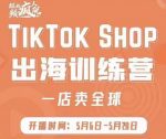 疯人院:TikTok Shop出海训练营（一店卖全球)，出海抢占全球新流量-网创指引人
