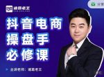 诸葛老王-抖音电商操盘手必修课:顶层设计,起号破局,爆款运营,数据分析-网创指引人