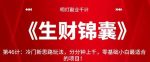 明灯副业千计—《生财锦囊》第46计：冷门新思路玩法，分分钟上千，零基础小白最适合的项目！【视频课程】-网创指引人