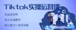 刘博·TikTok实操运营课,手把手账号实战,适合零基础Tiktok新人-网创指引人