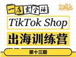 TikTokShop出海训练营(第十三期),打开全球流量新思维,出海抢占全球新流量,一店卖全球-网创指引人