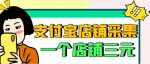 【信息差项目】支付宝店铺采集项目,只需拍三张照片,轻松日赚300-500-网创指引人