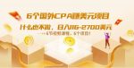 6个国外CPA赚美元项目:什么也不做,日入116-2700美元(6节视频课)-网创指引人