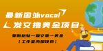 最新国外vocal发文撸美金项目,复制粘贴一篇文章一美金【工作室内部项目】-网创指引人