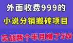 外面收费999的小说分销搬砖项目:实战两个半月赚了5W块,操作简单!-网创指引人
