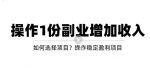 新手如何通过操作副业增加收入，从项目选择到玩法分享！【视频教程】-网创指引人