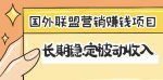 国外联盟营销赚钱项目,长期稳定被动收入月赚1000美金【视频教程】-网创指引人