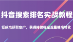 抖音搜索排名实战教程，低成本获取客户，获得持续稳定搜索流量精准转化-网创指引人