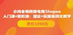 鸿老师跨境电商Shopee入门课+进阶课:理论+实操系统化教学(原价1999)-网创指引人