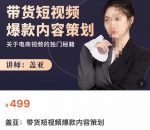 盖亚-带货短视频爆款内容策划,关于电商视频的独门秘籍-网创指引人