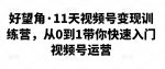 好望角·11天视频号变现训练营,从0到1带你快速入门视频号运营-网创指引人