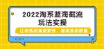 2022淘系蓝海截流玩法实操:让你选品速度更快,提高选品质量(价值599)-网创指引人