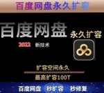 【实用精品】百度网盘无限扩容技术,外面卖399的,无论自己用还是用做引流都可以-网创指引人